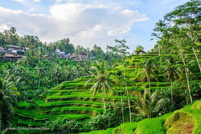 Ubud Tour - Best of Ubud - All Inclusive